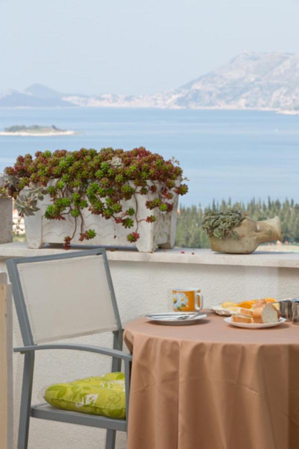 Apartments Carol Cavtat Εξωτερικό φωτογραφία